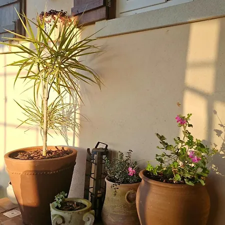 Casa Com Piscina E Vista Montanha Alenquer