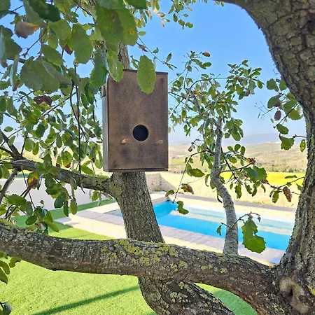Feriehus Casa Com Piscina E Vista Montanha Alenquer